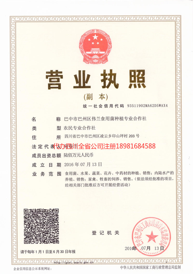 巩义巩义伟兰食用菌种植专业合作社